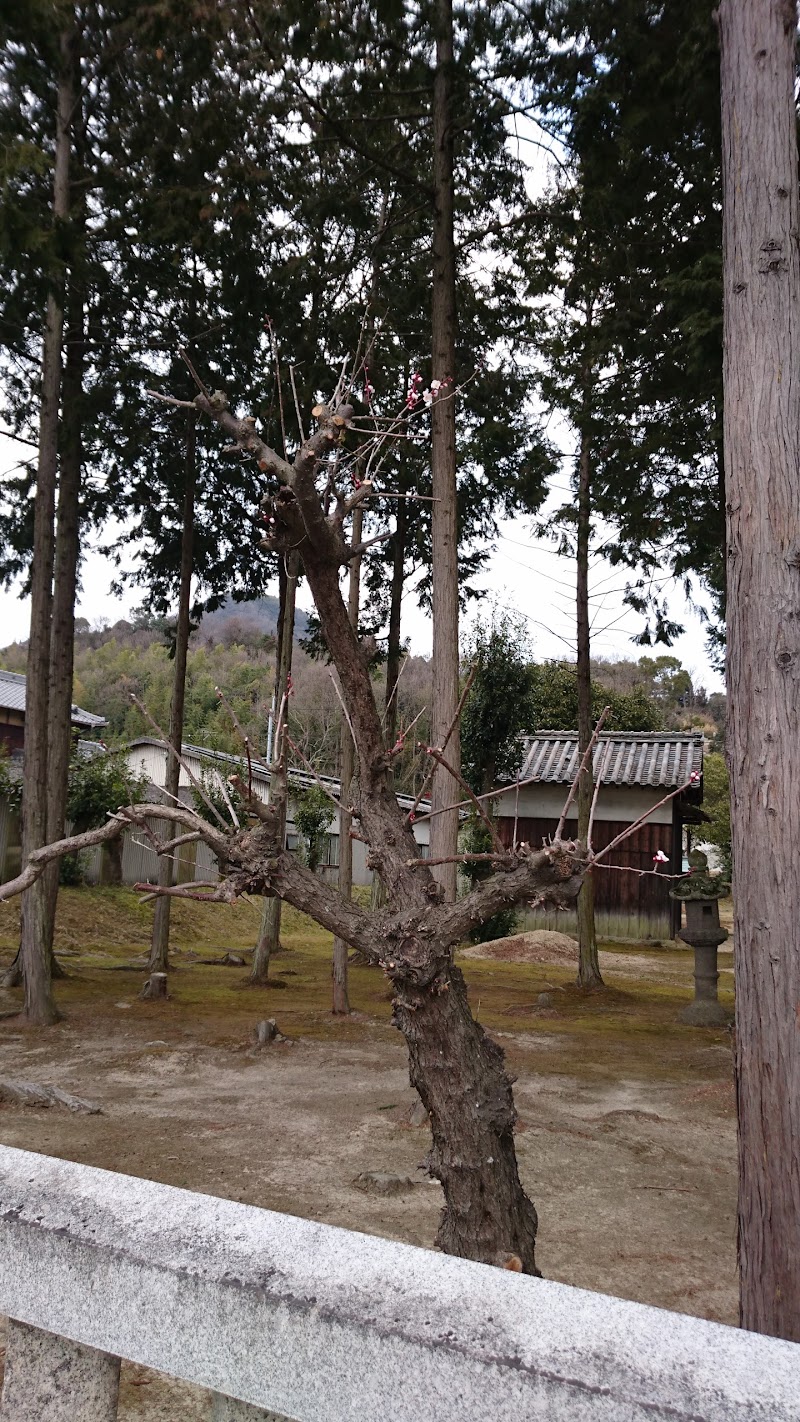 豊岡地区ひまわり園