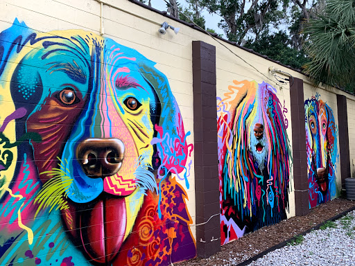 Pet Groomer «The Pet Bow-Tique», reviews and photos, 47 S Central Ave, Oviedo, FL 32765, USA