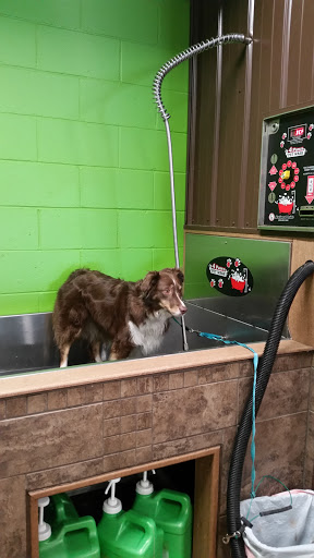 Pet Supply Store «Pet Food Plus», reviews and photos, 2819 E Hamilton Ave, Eau Claire, WI 54701, USA