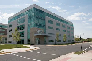 Center for Midwifery & Women's Health image