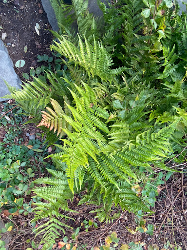 Golf Course «Preakness Valley Golf Course», reviews and photos, 209 Totowa Rd, Wayne, NJ 07470, USA