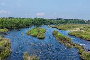 Holenarasipura Bridge image