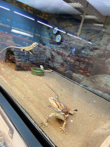 Pet Supply Store «Petco Animal Supplies», reviews and photos, 3012 Bridgepointe Pkwy, San Mateo, CA 94404, USA