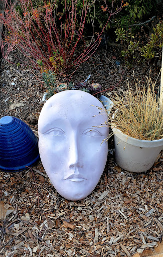 Auto Repair Shop «Greenbridge Gas & Auto», reviews and photos, 11401 CA-1, Point Reyes Station, CA 94956, USA