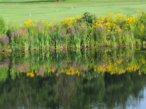 Golf Course «Nippo Lake Golf Club», reviews and photos, 88 Stagecoach Rd, Barrington, NH 03825, USA