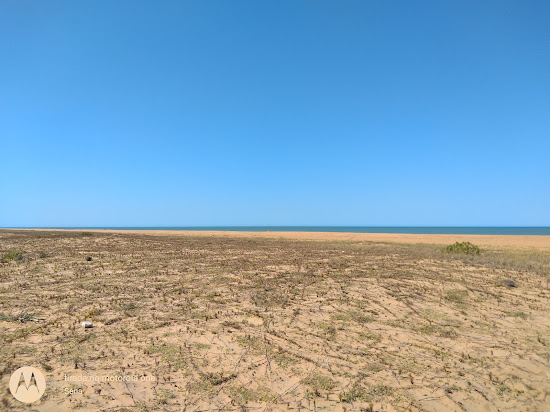 Regencia Beach