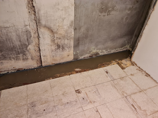 Waterproofing Company «Quality 1st Basement Systems», reviews and photos