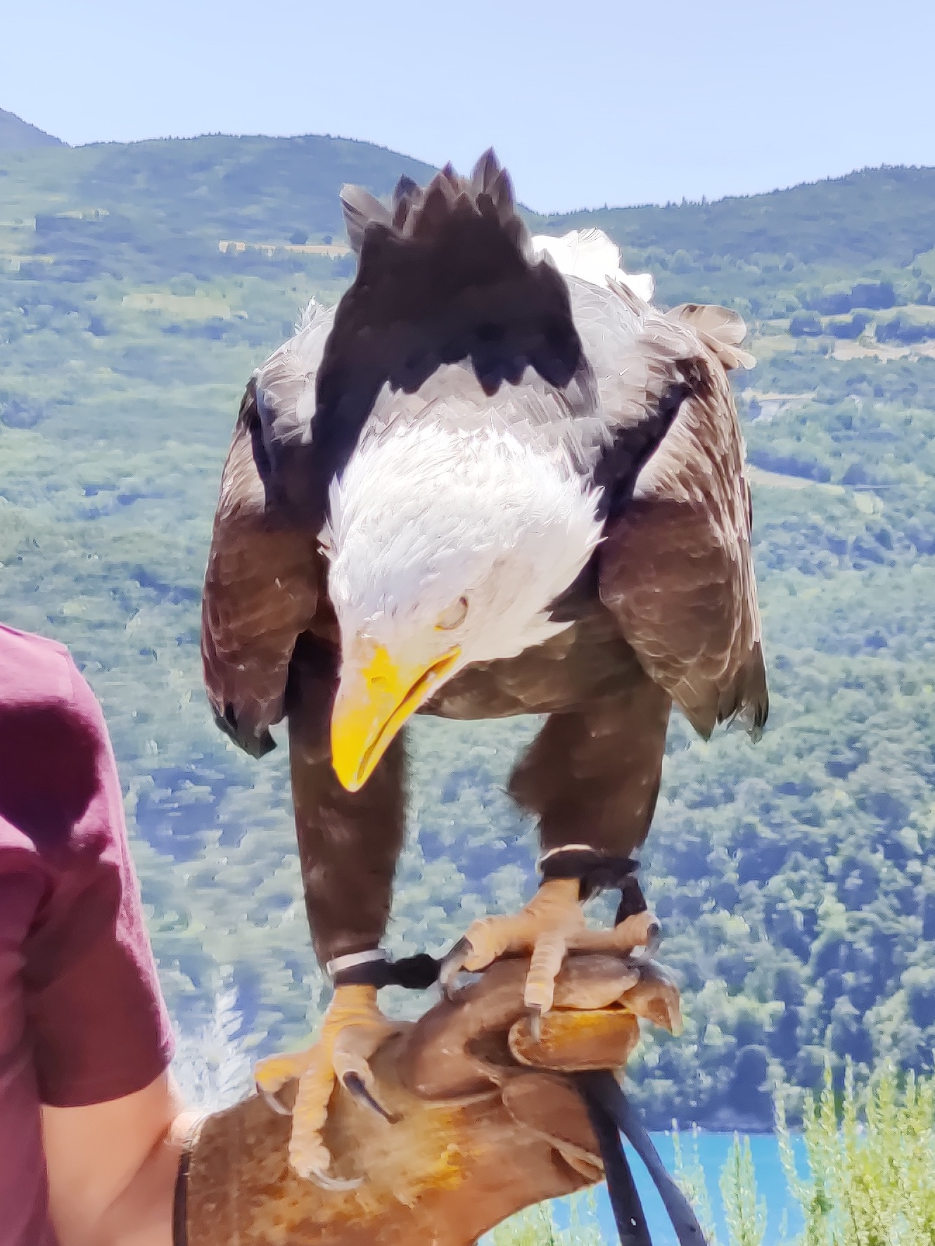Photo n° 2 de l'avis de Julien.o fait le 14/08/2020 à 12:49