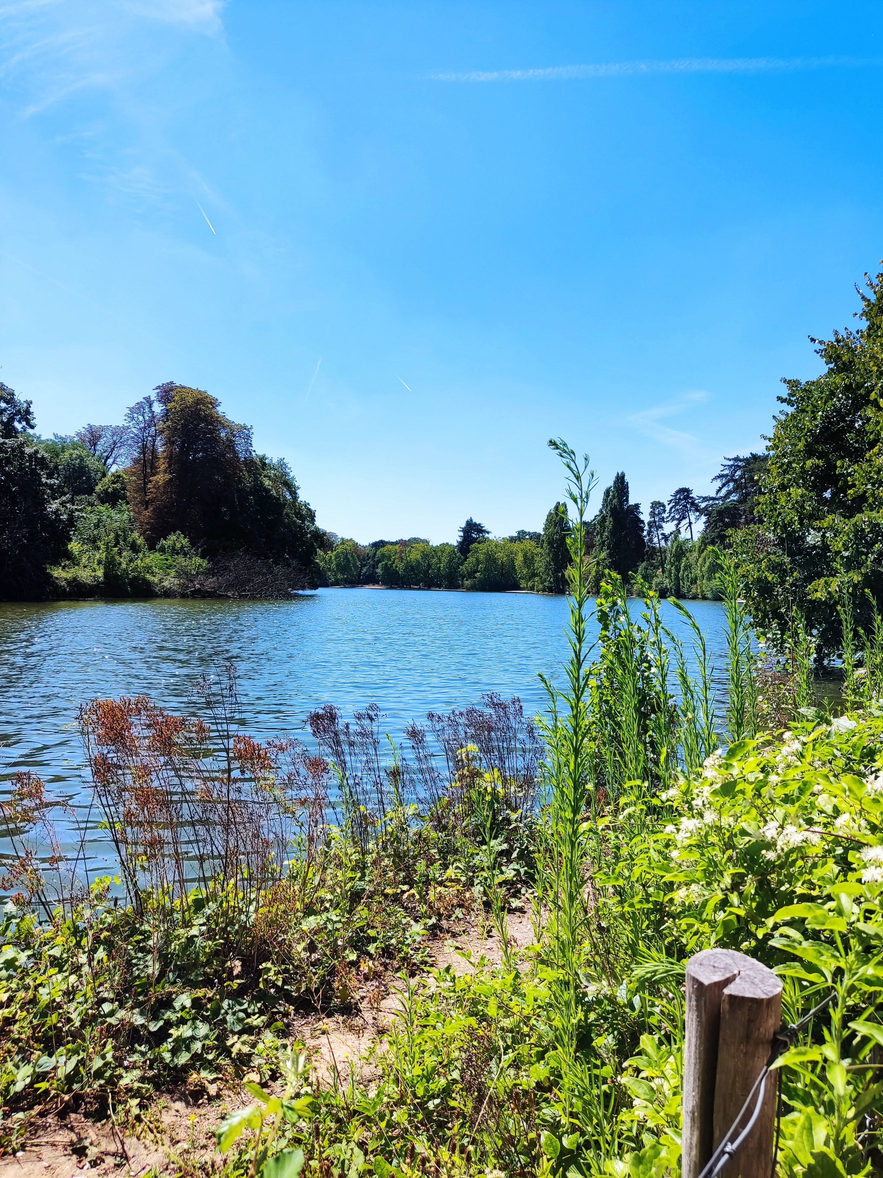 Photo n° 5 de l'avis de stephanie.u fait le 25/07/2022 à 05:42