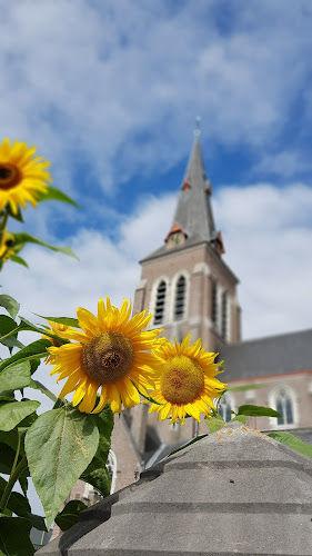 Onze Lieve Vrouw en Sint Petruskerk - Gent