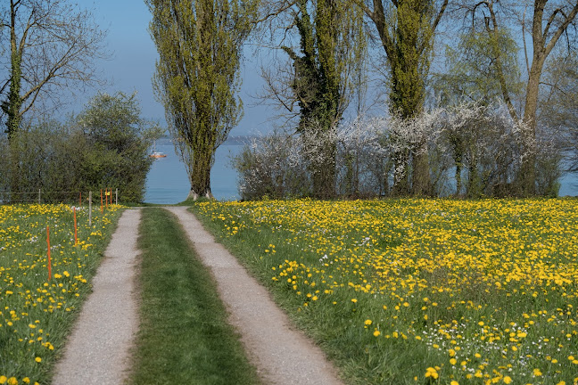 Hof Seealp, Altnau - Campingplatz