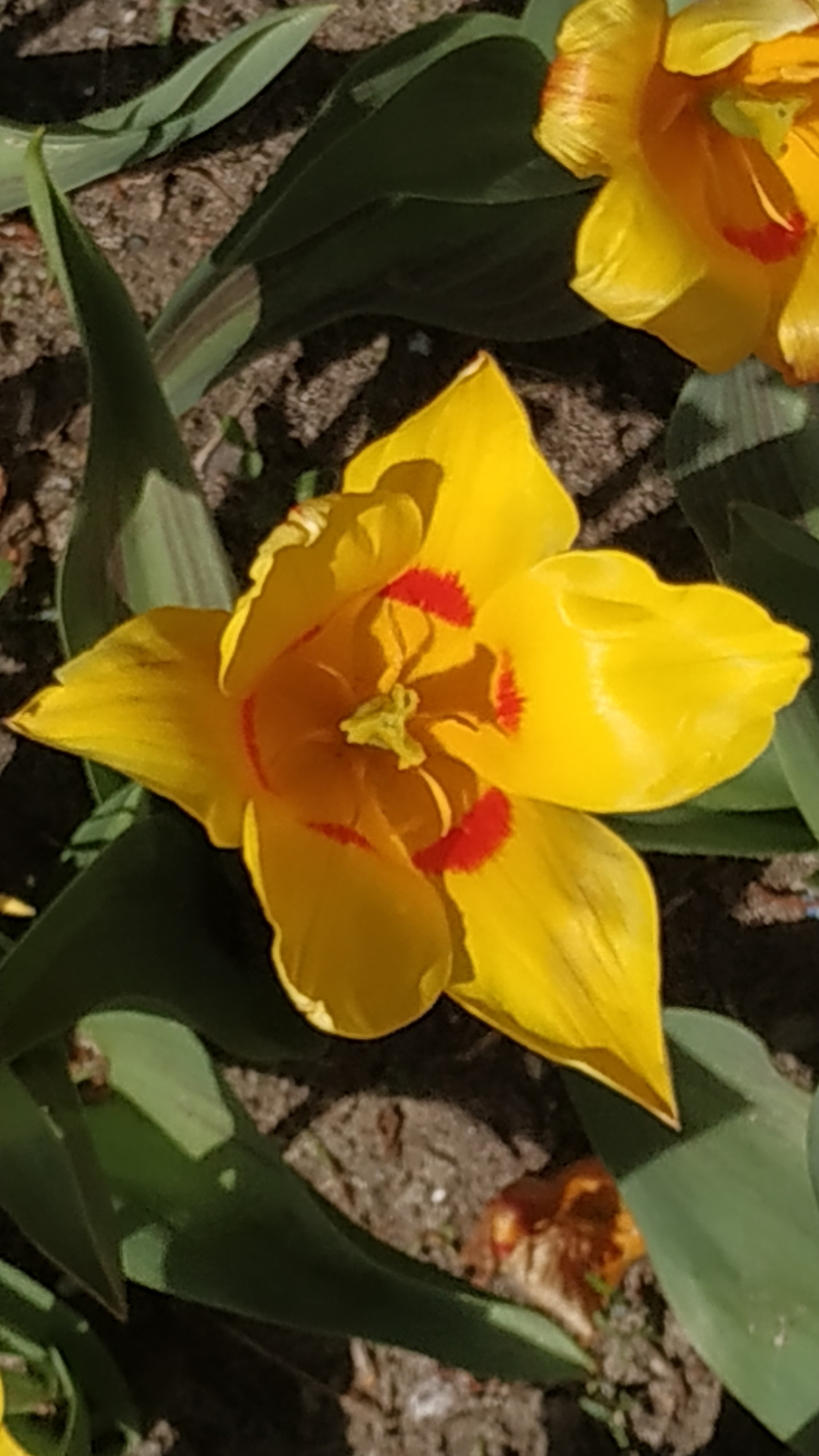 Photo n° 11 de l'avis de The.a fait le 05/04/2023 à 21:57