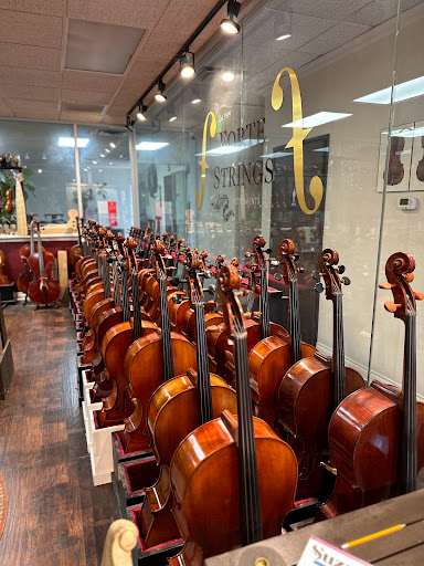 Forte Strings Violin Shop image