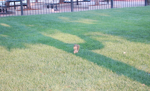 Park «Acacia Park», reviews and photos, 115 E Platte Ave, Colorado Springs, CO 80903, USA