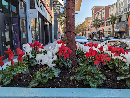 Bay Street Emeryville image