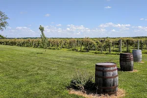 Davenport Orchards & Winery image