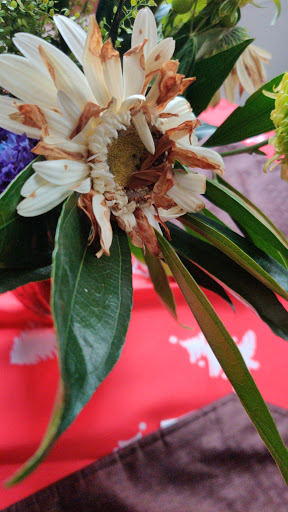 Gift Shop «Edible Arrangements», reviews and photos, 3524 Brenbrook Dr, Randallstown, MD 21133, USA