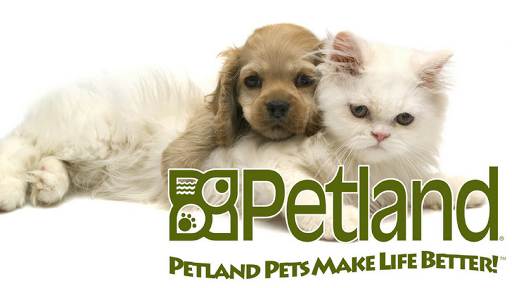 Pet Store «Petland South Orlando», reviews and photos, 3920 S Semoran Blvd, Orlando, FL 32822, USA