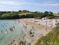Photo de Dock Beach avec un niveau de propreté de très propre
