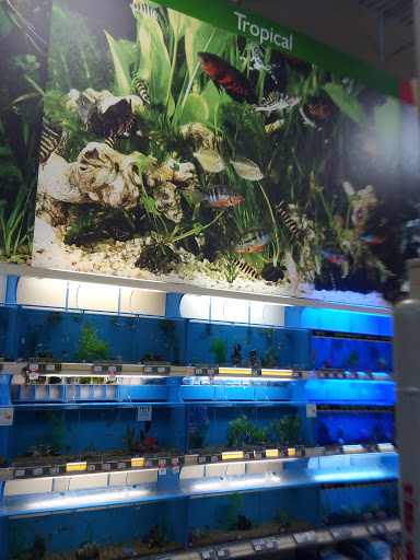 Pet Supply Store «PetSmart», reviews and photos, 2317 W Lincoln St, Harlingen, TX 78552, USA