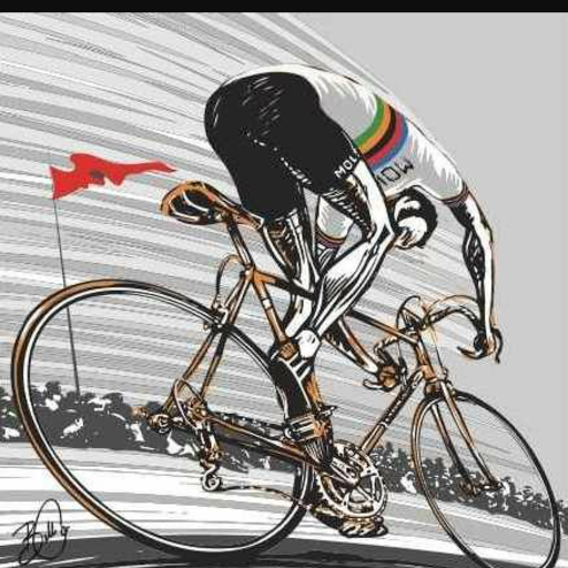 Bicycle Store «Sayville Bike Works», reviews and photos, 75 Main St, West Sayville, NY 11796, USA