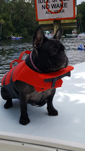 Pet Supply Store «Pet Supplies Plus», reviews and photos, 21703 Village Lakes Shopping Center Dr, Land O Lakes, FL 34639, USA