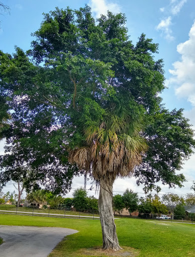 Country Club «Country Club of Miami», reviews and photos, 6801 NW 186th St, Hialeah, FL 33015, USA