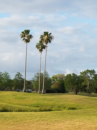 Golf Course «Wedgefield Golf Club», reviews and photos, 20550 Maxim Pkwy, Orlando, FL 32833, USA