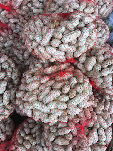 Grocery Store «Ace Market», reviews and photos, 6511 Bay Pkwy, Brooklyn, NY 11204, USA