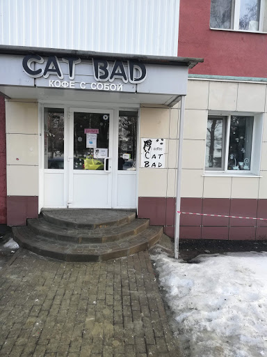 Cat Bad