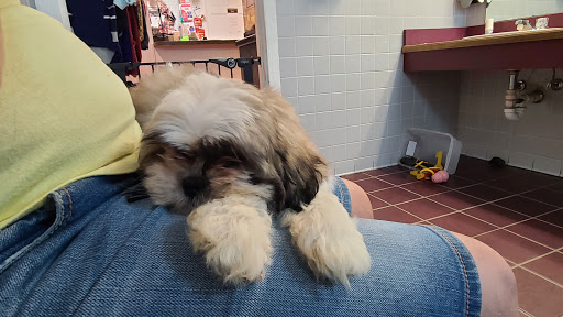 Pet Store «Pets Plus Inc», reviews and photos, 2610 Jefferson Davis Hwy, Stafford, VA 22554, USA