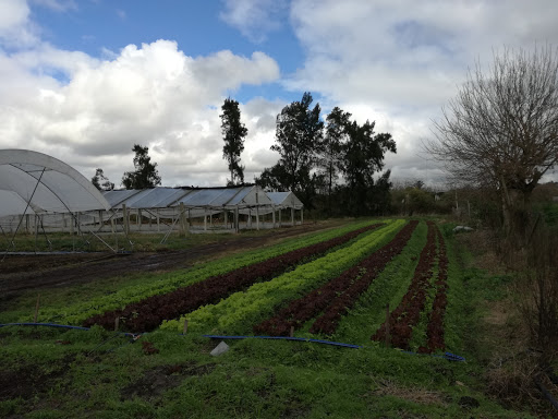 Granja Mallorca