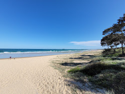 Photo de Woolgoolga Back Beach avec rivage droit, long