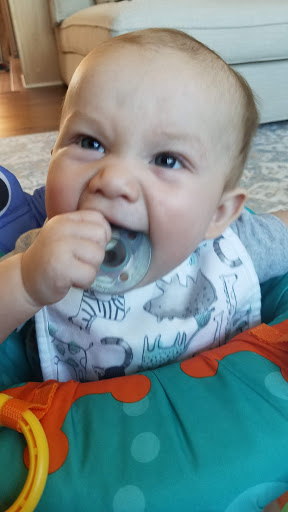 Child Care Agency «Circle of Love Daycare, LLC», reviews and photos, 33611 Hazelwood St, Westland, MI 48186, USA