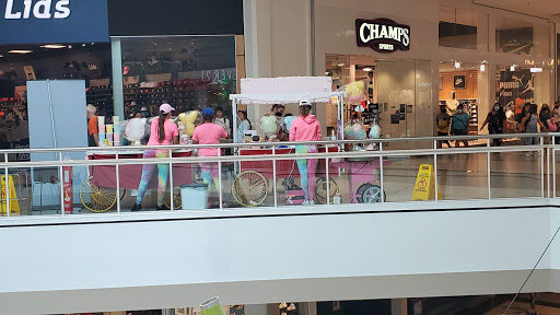 Shopping Mall «Westfield Countryside», reviews and photos, 27001 US Hwy 19 N #1039, Clearwater, FL 33761, USA