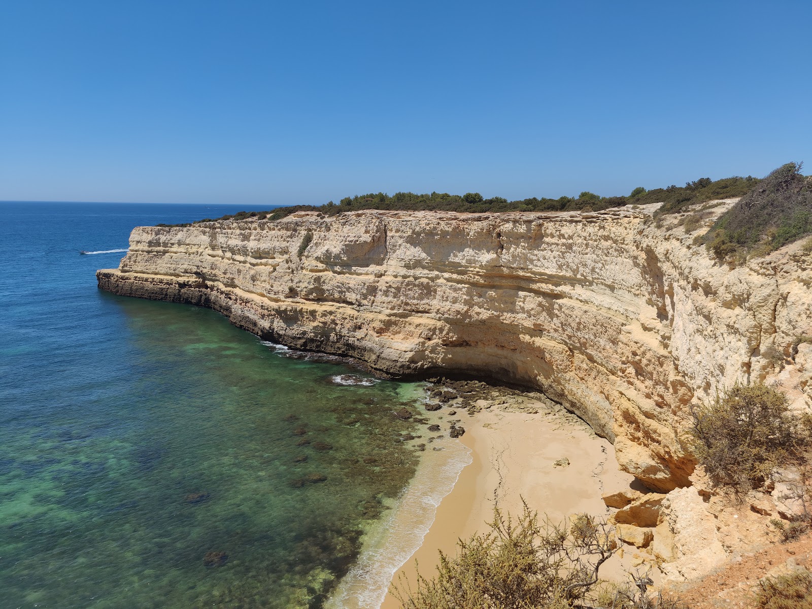 Praia da Morena'in fotoğrafı vahşi alan