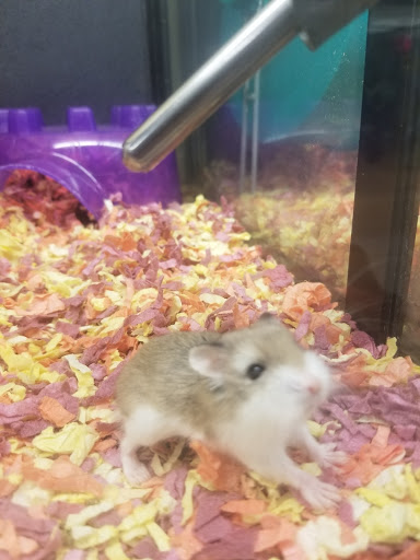 Pet Supply Store «PetSmart», reviews and photos, 7574 Voice of America Centre Dr, West Chester Township, OH 45069, USA