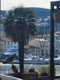 Les plus récentes photos du Restaurant de tapas La Casa Catalane à Port-Vendres - n°3