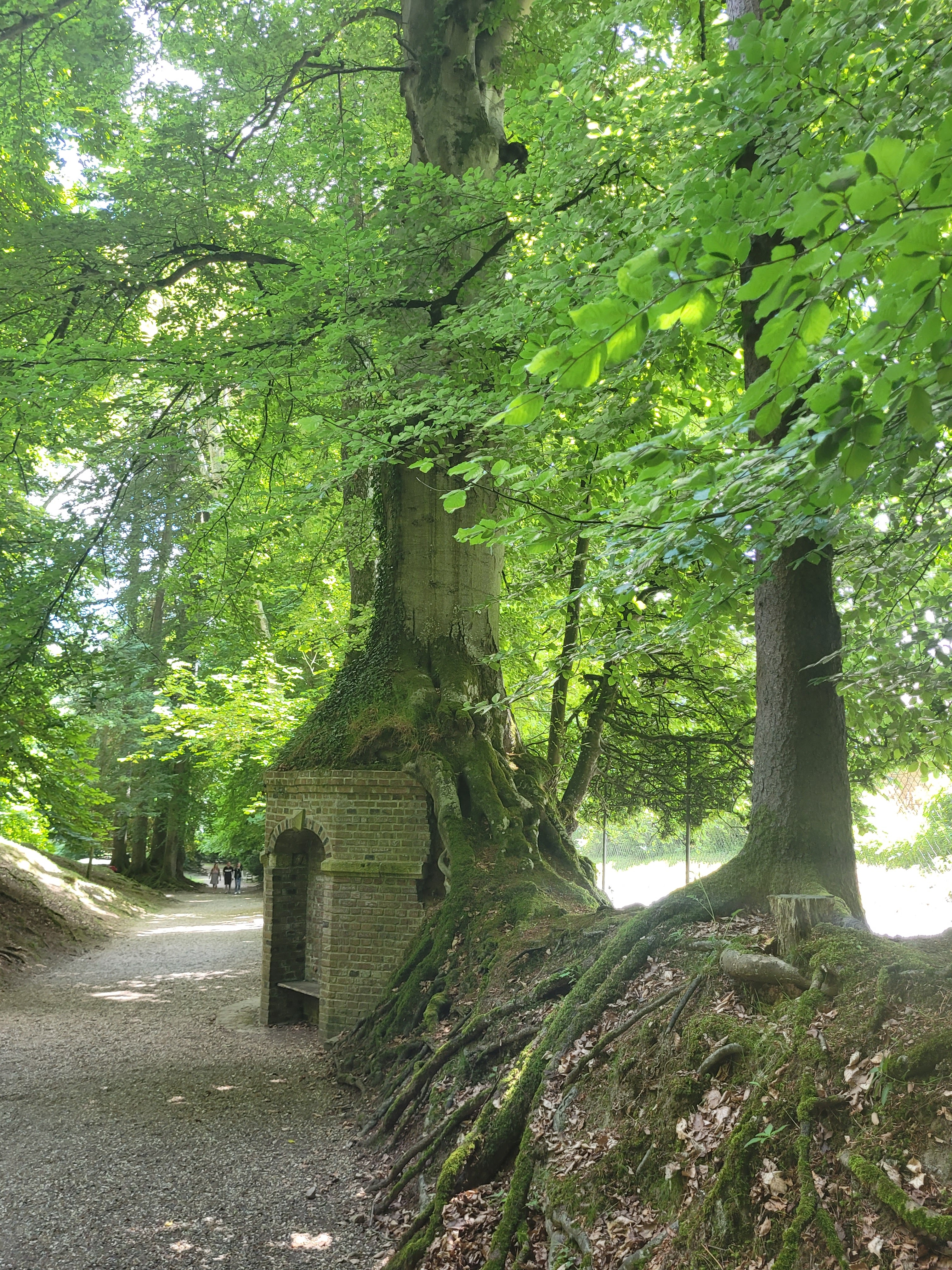 Photo n° 14 de l'avis de Vero.o fait le 14/06/2022 à 11:47