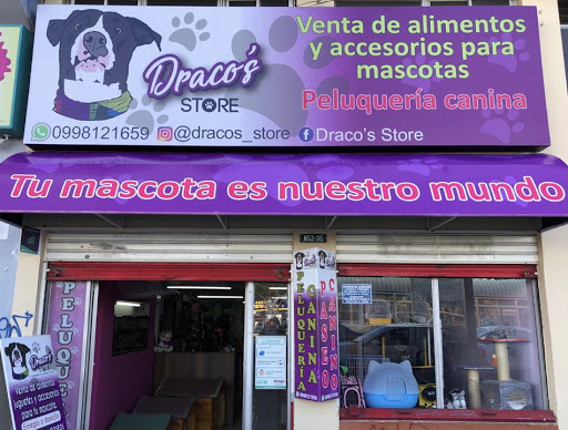 Draco’s Store