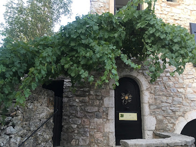 La cardabelle à Saint-Maurice-Navacelles