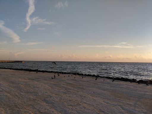 Amphitheater «Cole Park Amphitheater», reviews and photos, 1526 Ocean Dr, Corpus Christi, TX 78404, USA