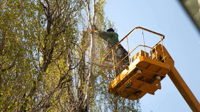 JM Espaces verts à Rezé