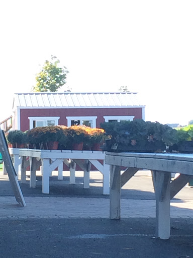 Farm «Kellers Farmstand», reviews and photos, 2500 Johnson Rd, Oswego, IL 60543, USA