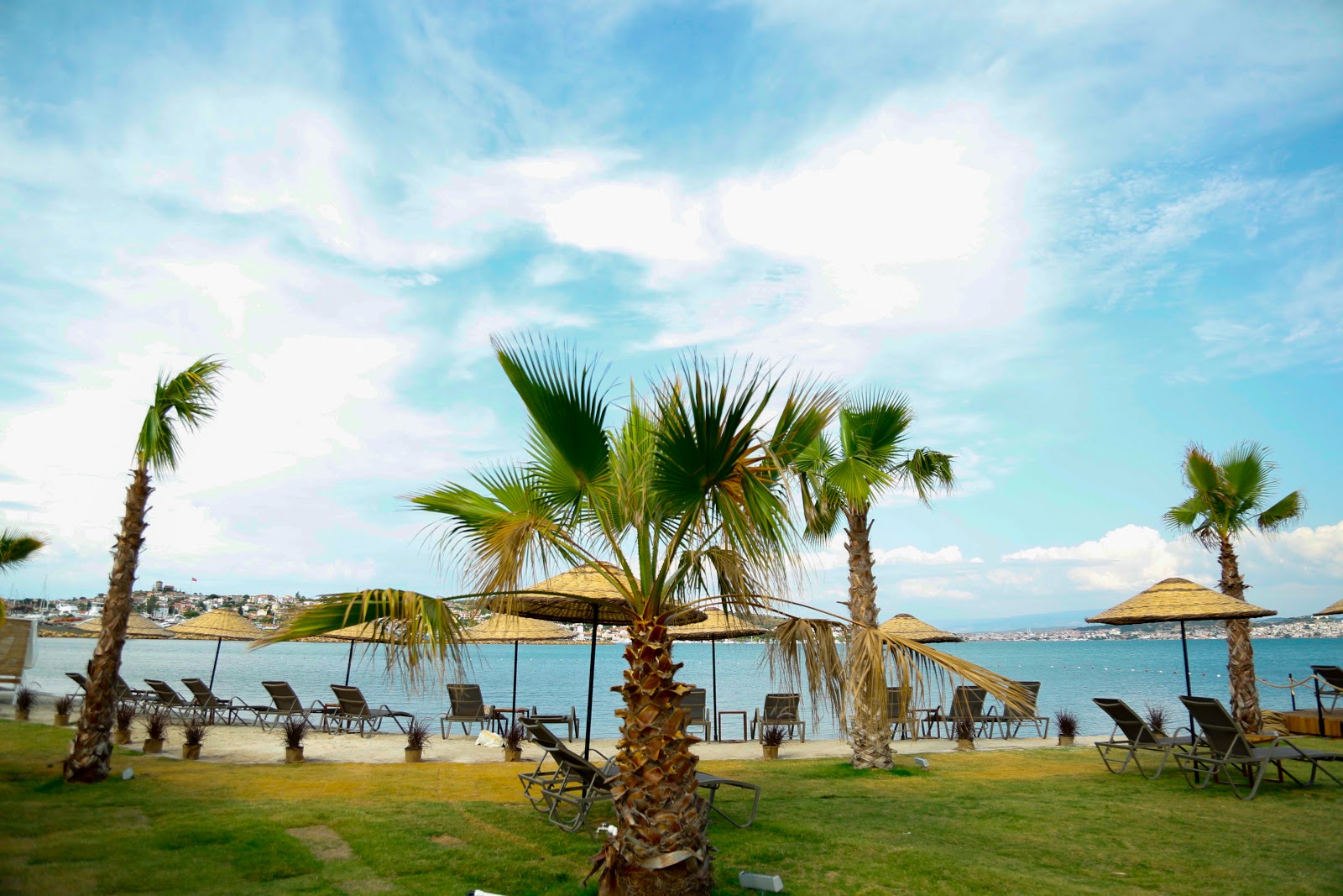 Cunda beach'in fotoğrafı çok temiz temizlik seviyesi ile