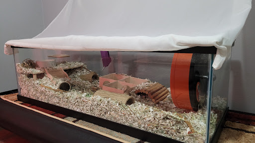 Petco image