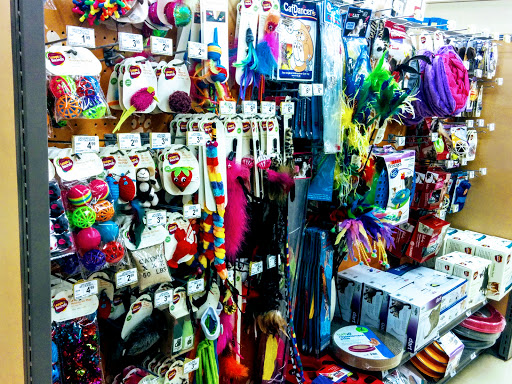 Pet Supply Store «Petco Animal Supplies», reviews and photos, 1621 Emmet St N, Charlottesville, VA 22901, USA