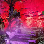 Photo n° 8 de l'avis de Katia.b fait le 10/12/2019 à 16:55 pour Les Cathédrales de la Saulaie à Doué-la-Fontaine