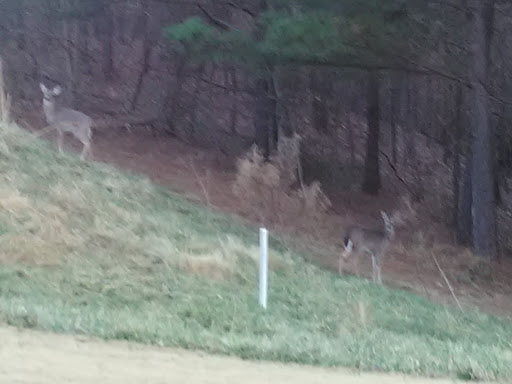 Golf Course «Windermere Golf Club», reviews and photos, 5000 Davis Love Dr, Cumming, GA 30041, USA