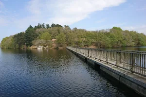 Lac du Drennec image